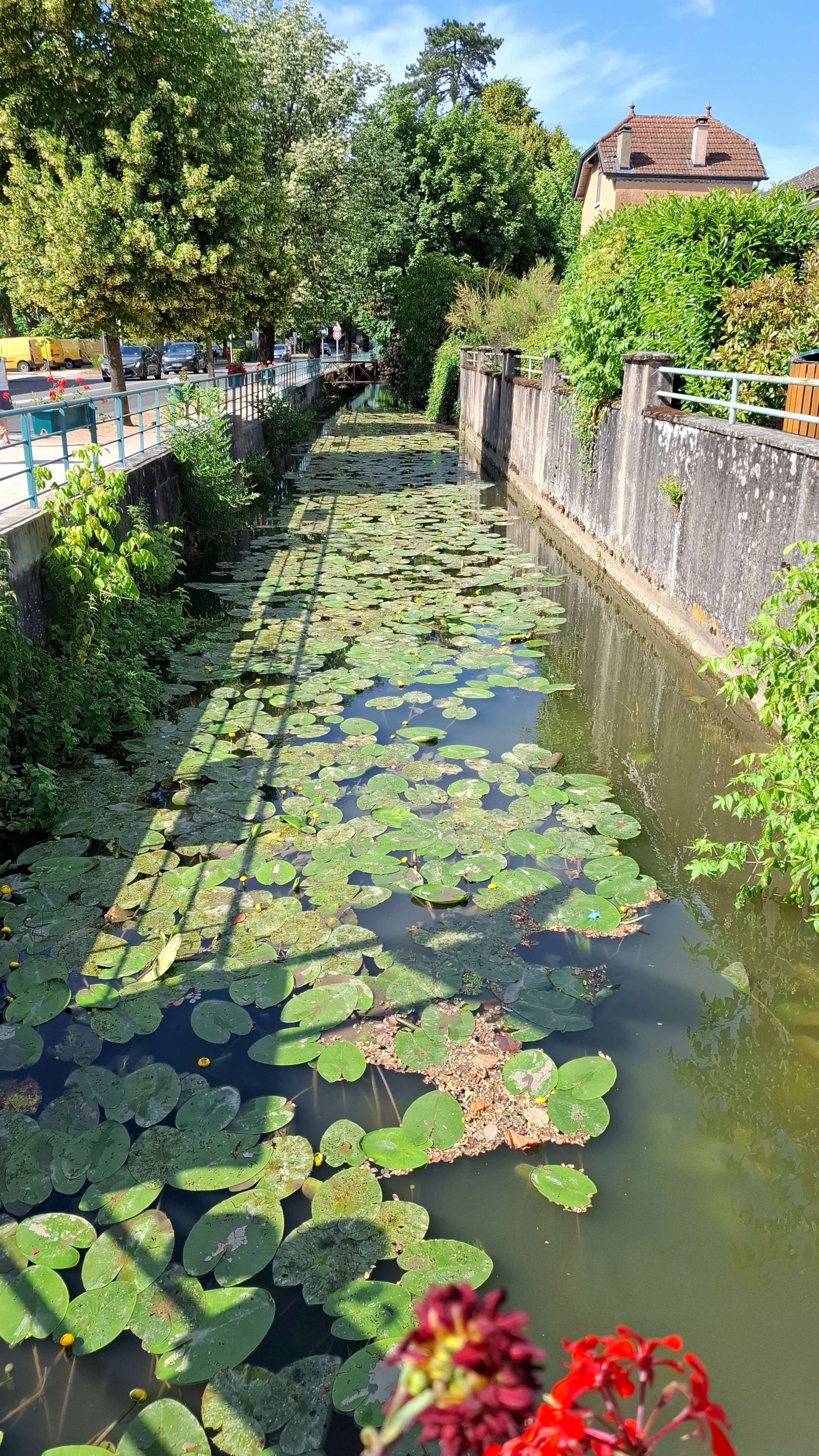 Fossé d'enceinte